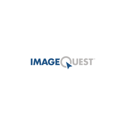 ImageQuest logo