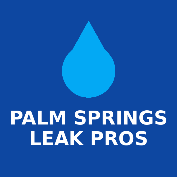 Palm Springs Leak Pros logo