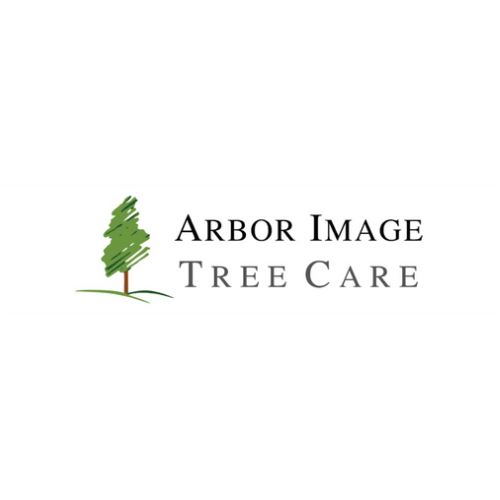 Arbor Image Tree Care logo