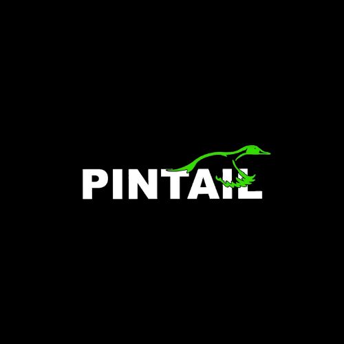 PINTAIL D&C Inc. logo
